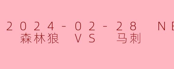 2024-02-28 NBA常规赛 森林狼 VS 马刺